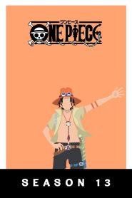 One Piece: Temporada 13