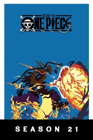 One Piece: Temporada 21