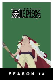 One Piece: Temporada 14