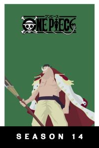 One Piece: Temporada 14