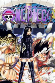 One Piece: Temporada 11