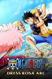 One Piece: Temporada 17